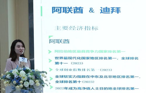 创意出海 文化远航——深圳福田与阿联酋经贸合作交流会暨数字创意产业对接会成功举办